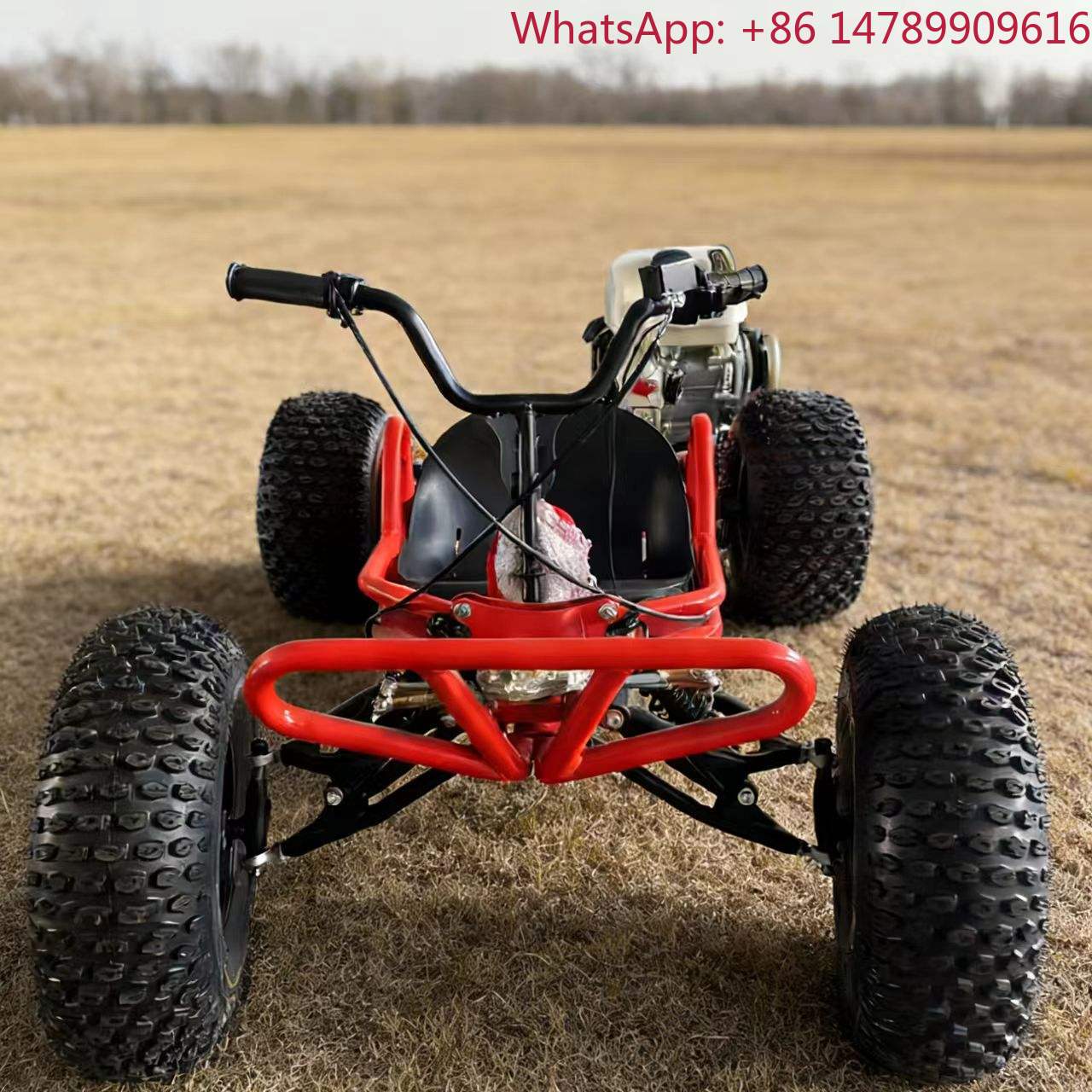 عربة سباق تعمل بالبنزين بسعة 2 - مراجعة Outdoor Power Wheels وسعره